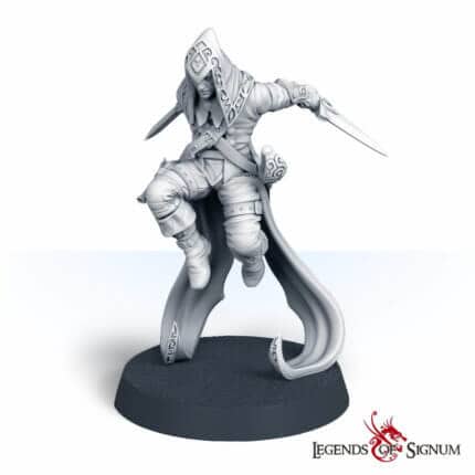 assasin1